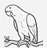 Image result for White Bird Drawing