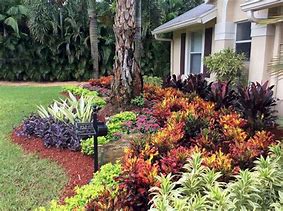 Image result for Florida Landscaping Plants Zone 9