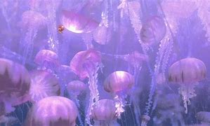 Image result for Nemo and Dory Wallpaper