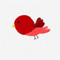 Image result for Colourful Bird Drawing