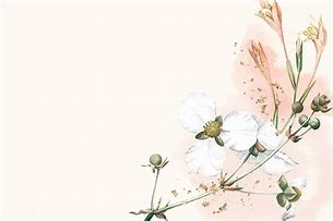 Image result for Beige Flower Background