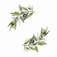 Image result for Olive Branches Designs