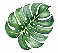 Image result for Watercolor Leaf Clip Art