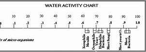 Image result for Water Activity Food