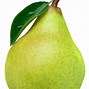 Image result for Pear Clip Art Free