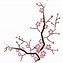 Image result for Cherry Blossom Branch Vector