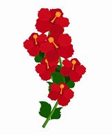 Image result for Flower Branch PNG