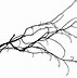 Image result for Tree Branch Icon.png