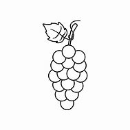 Image result for Grapes ClipArt Black and White