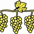 Image result for Happy Grapes Clip Art