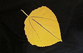 Image result for Maple Leaf Metal Art