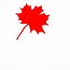 Image result for Maple Leaf Icon Black White