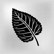 Image result for Leaf Silhouette Black and White