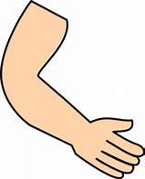 Image result for Transparent Cartoon Arm