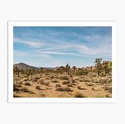 Image result for Joshua Tree National Park Art