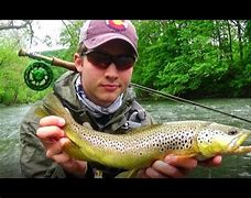 Image result for Bull Trout Fly Fishing