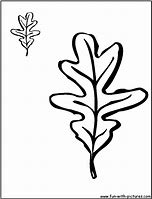 Image result for Oak Leaf Sketch