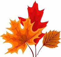 Image result for Fall Leaf Falling