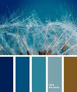 Image result for brown paint color schemes