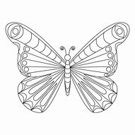 Image result for Colorful Butterfly White Background