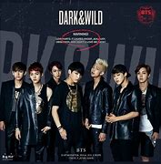 Image result for BTS Dark and Wild Album Cover