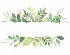 Image result for Sage Green Vine Clip Art