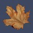 Image result for Leaf Spiral 3D Model