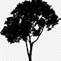 Image result for Big Tree Silhouette