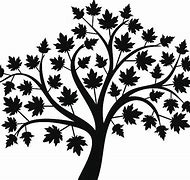 Image result for Maple Tree Branch Vector