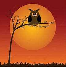 Image result for Owl in a Branch Vector