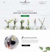 Image result for Eye-Catching Website Design