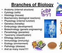 Image result for biology branches science