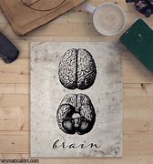 Image result for The Brain Poster