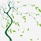 Image result for Willow Tree Branch Illustration