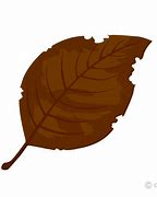 Image result for Dead Leaves Clip Art