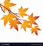 Image result for Maple Tree Branch Vector