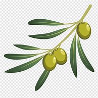 Image result for Olive Branch Graphic Clip Art