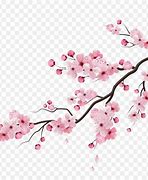 Image result for Cherry Blossom Branch Illustration