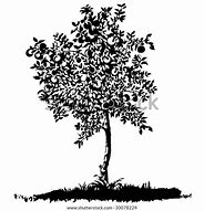 Image result for Apple Tree Silhouette Vector