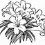 Image result for Flower Clip Art Black White