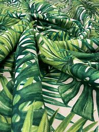 Image result for Green Palm Leaves