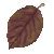 Image result for Elm Leaf Golden Rod