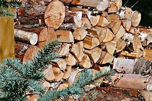 Image result for Wood Leaf Pile