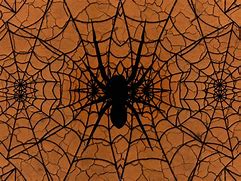 Image result for Orange and Black Pattern