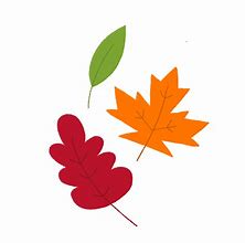 Image result for Fall Leaves Vector Free