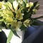 Image result for Grocery Store Bright Flowers