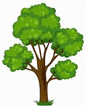 Image result for Safari Tree Cartoon