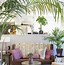 Image result for Palm Tree Living Room