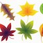 Image result for Fall Leaf Shapes Printable