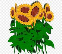 Image result for Fall Sunflower Clip Art Funny